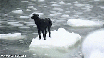 Acid Gifdump, October 27, 2014 (25 gifs)