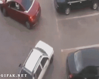 Acid Gifdump, October 27, 2014 (25 gifs)
