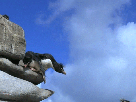 Acid Gifdump, October 27, 2014 (25 gifs)