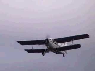 Acid Gifdump, October 27, 2014 (25 gifs)
