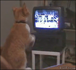 Acid Gifdump, October 27, 2014 (25 gifs)