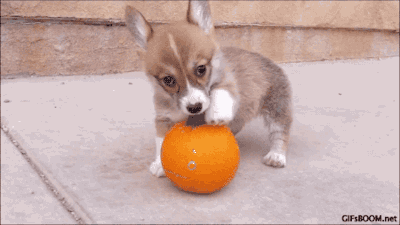 Acid Gifdump, October 27, 2014 (25 gifs)