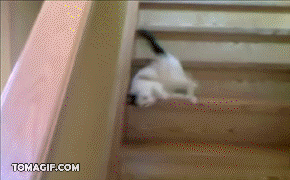 Acid Gifdump, October 28, 2014 (25 gifs)