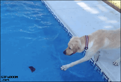 Acid Gifdump, November 07, 2014 (25 gifs)