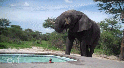 Acid Gifdump, November 07, 2014 (25 gifs)