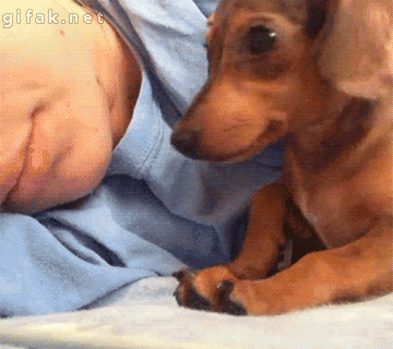 Acid Gifdump, November 07, 2014 (25 gifs)