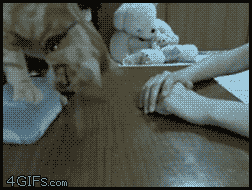 Acid Gifdump, November 17, 2014 (25 gifs)