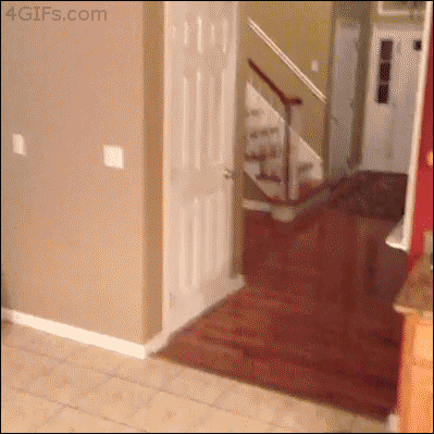 Acid Gifdump, November 17, 2014 (25 gifs)