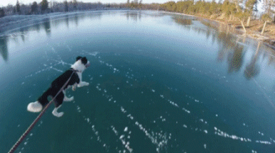 Acid Gifdump, December 02, 2014 (25 gifs)