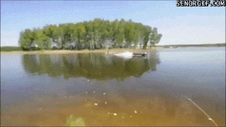Acid Gifdump, December 02, 2014 (25 gifs)