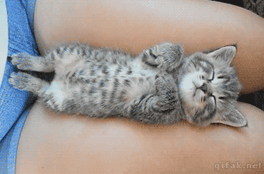 Acid Gifdump, December 22, 2014 (25 gifs)