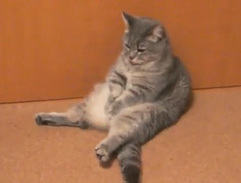 Acid Gifdump, December 22, 2014 (25 gifs)