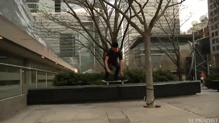 Acid Gifdump, December 22, 2014 (25 gifs)
