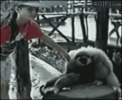 Acid Gifdump, January 26, 2015 (25 gifs)