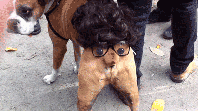 Acid Gifdump, January 26, 2015 (25 gifs)