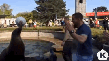 Acid Gifdump, January 26, 2015 (25 gifs)