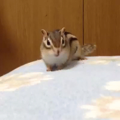 Acid Gifdump, February 13, 2015 (25 gifs)