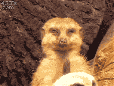 Acid Gifdump, March 13, 2015 (25 gifs)
