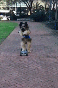 Acid Gifdump, March 13, 2015 (25 gifs)