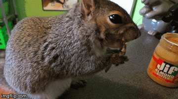 Acid Gifdump, March 20, 2015 (25 gifs)
