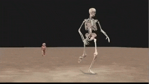 Acid Gifdump, March 20, 2015 (25 gifs)