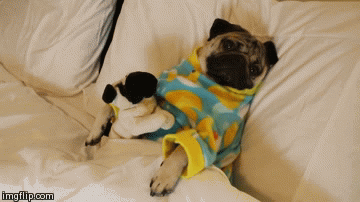 Acid Gifdump, March 20, 2015 (25 gifs)
