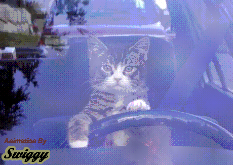 Acid Gifdump, March 20, 2015 (25 gifs)