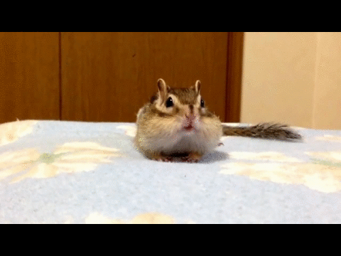 Acid Gifdump, March 27, 2015 (25 gifs)