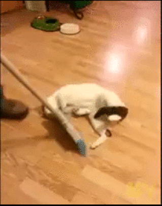 Acid Gifdump, March 27, 2015 (25 gifs)