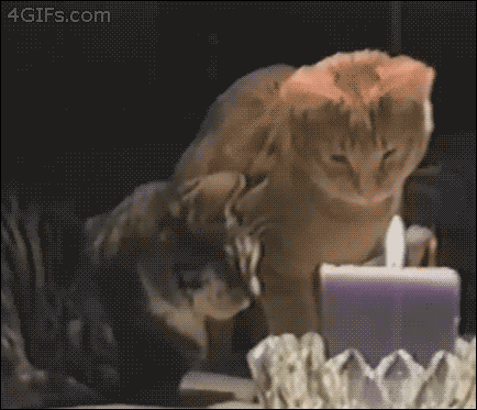 Acid Gifdump, March 27, 2015 (25 gifs)