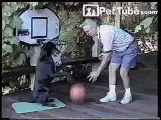Acid Gifdump, March 27, 2015 (25 gifs)
