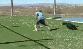 Acid Gifdump, March 30, 2015 (25 gifs)