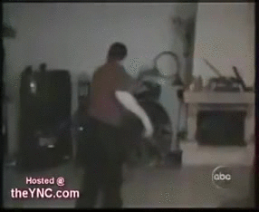 Acid Gifdump, March 30, 2015 (25 gifs)