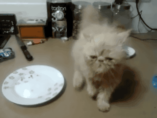 Acid Gifdump, March 30, 2015 (25 gifs)