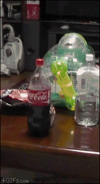 Acid Gifdump, April 08, 2015 (25 gifs)