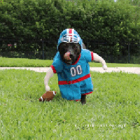Acid Gifdump, April 08, 2015 (25 gifs)