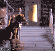 Acid Gifdump, April 08, 2015 (25 gifs)