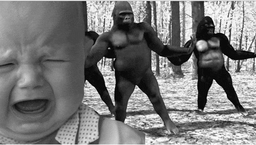 Acid Gifdump, April 09, 2015 (25 gifs)