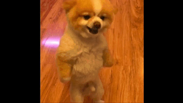 Acid Gifdump, April 10, 2015 (25 gifs)