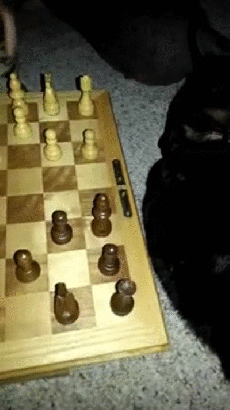 Acid Gifdump, April 10, 2015 (25 gifs)