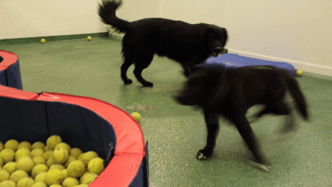 Acid Gifdump, April 10, 2015 (25 gifs)