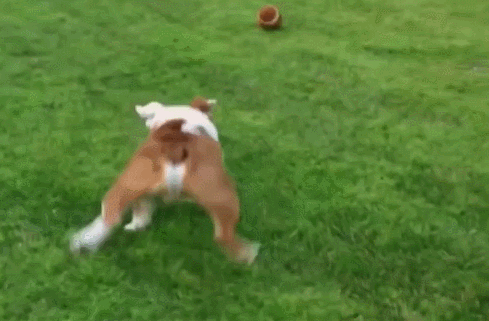 Acid Gifdump, April 10, 2015 (25 gifs)