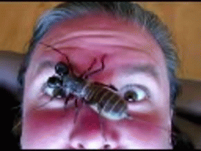Acid Gifdump, April 10, 2015 (25 gifs)