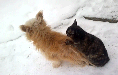 Acid Gifdump, April 30, 2015 (25 gifs)