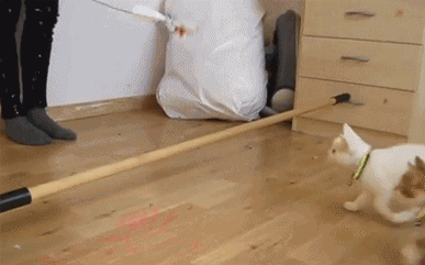 Acid Gifdump, April 30, 2015 (25 gifs)
