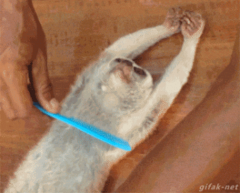 Acid Gifdump, April 30, 2015 (25 gifs)
