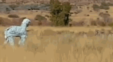 Acid Gifdump, May 22, 2015 (25 gifs)