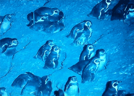 Acid Gifdump, May 29, 2015 (25 gifs)