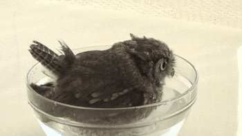 Acid Gifdump, May 29, 2015 (25 gifs)