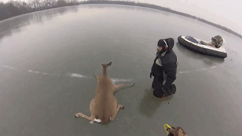 Acid Gifdump, June 12, 2015 (25 gifs)